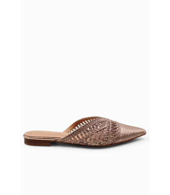 Σαμπανιζέ μυτερά mules